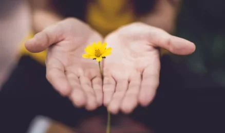 Find solutions with counselling